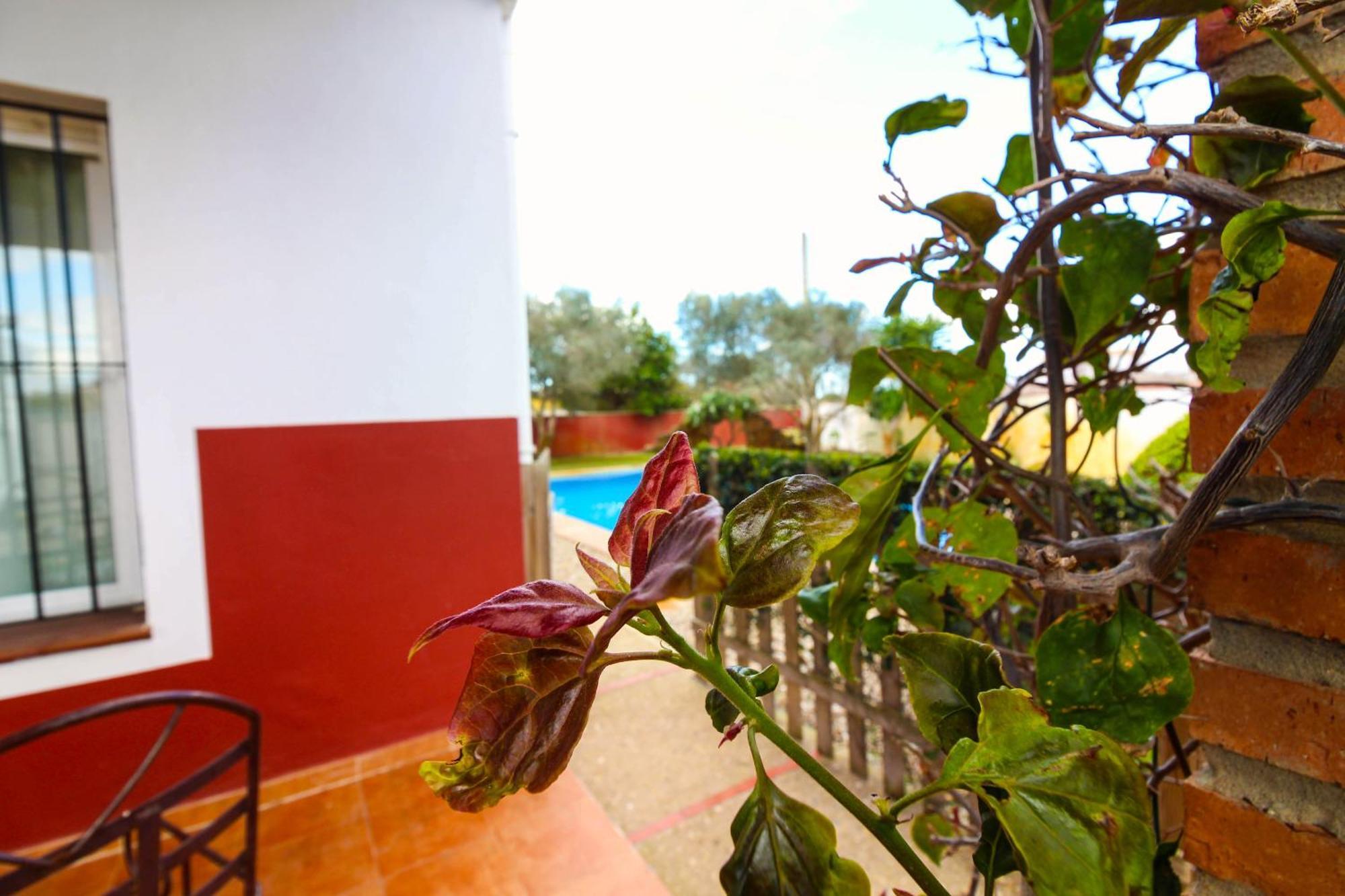 Los Candiles Conil De La Frontera Exteriör bild