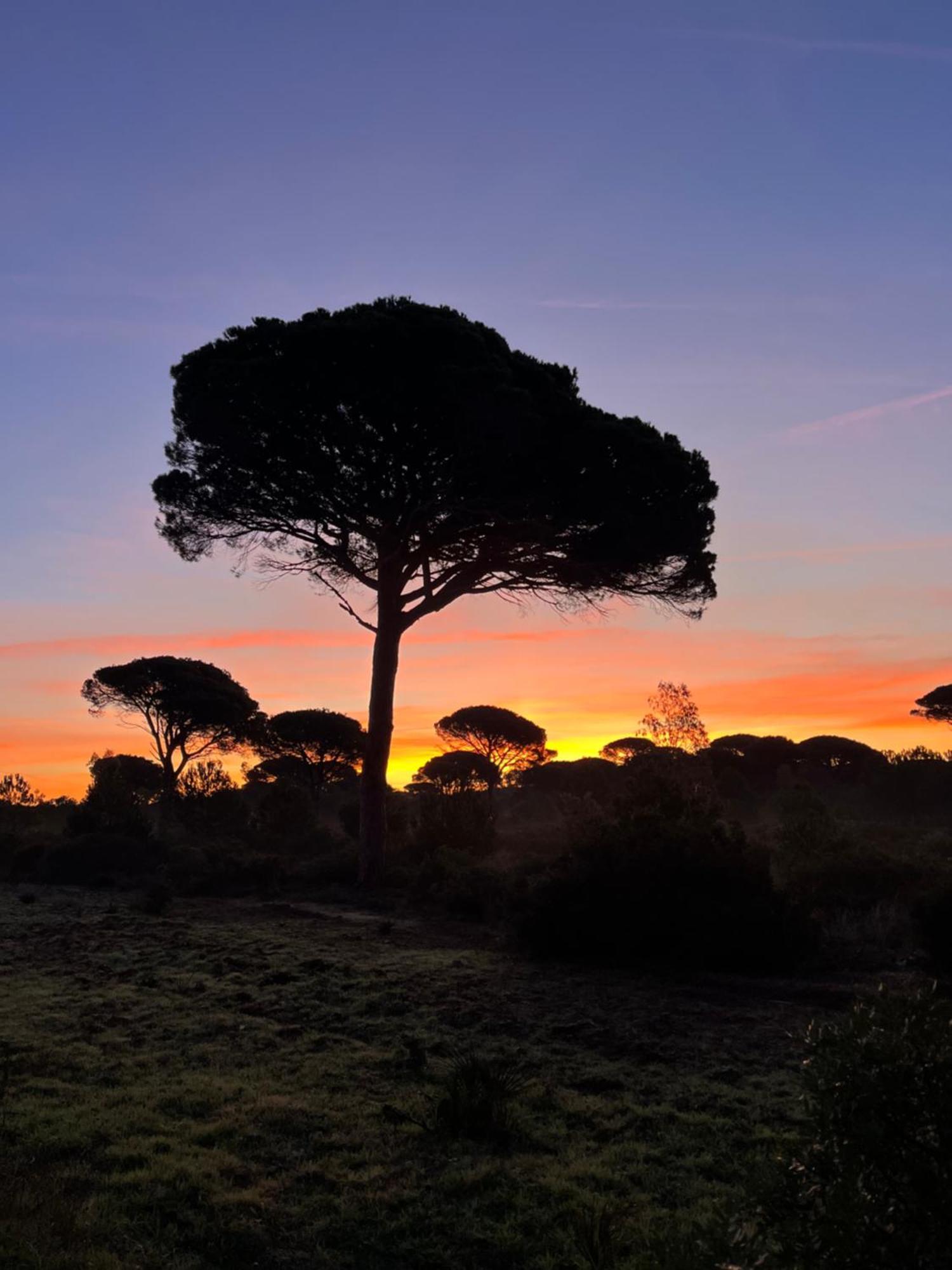 Los Candiles Conil De La Frontera Exteriör bild